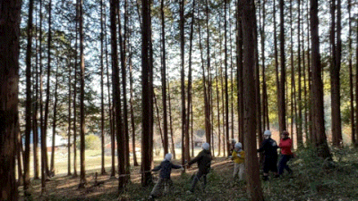 木が倒れる様子